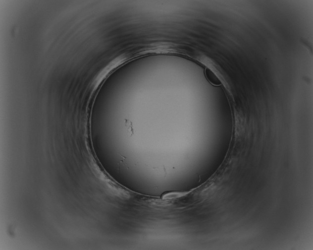X0000101410861200807141130