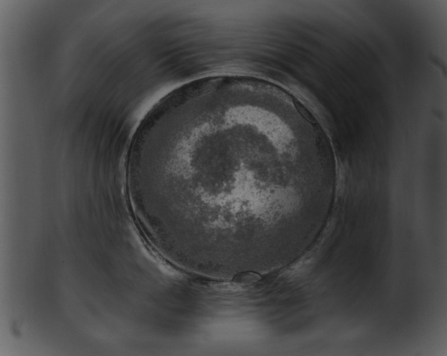 X0000101410862200807141130