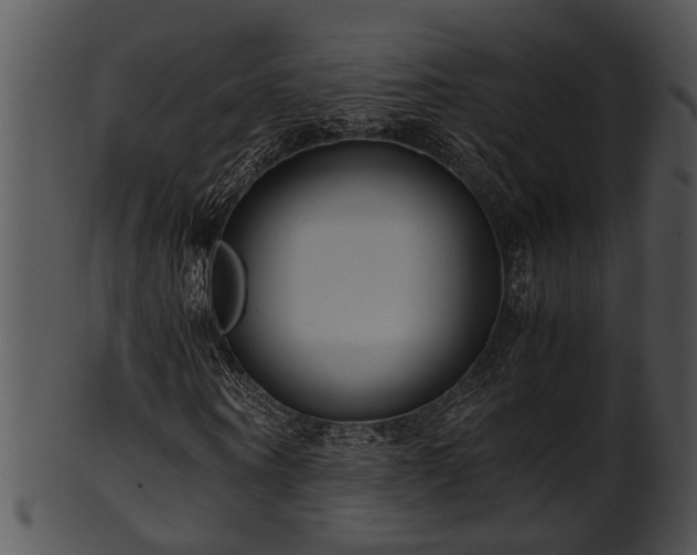 X0000101410866200807141129
