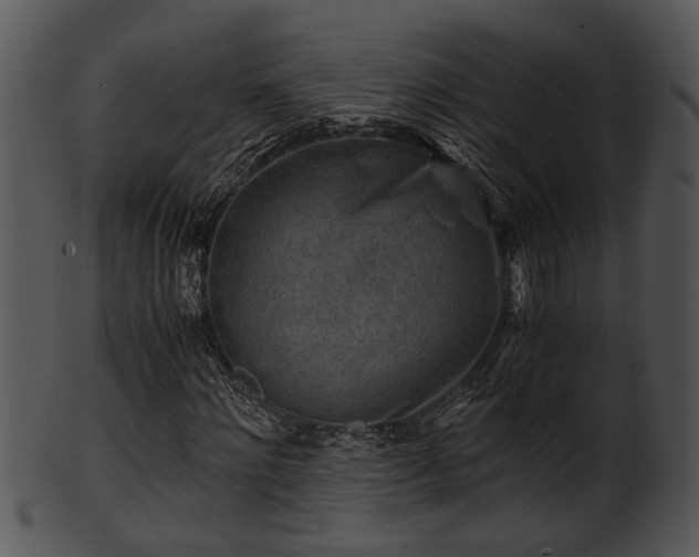 X0000101410868200807141129