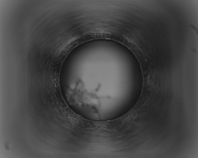 X0000101410870200807141129