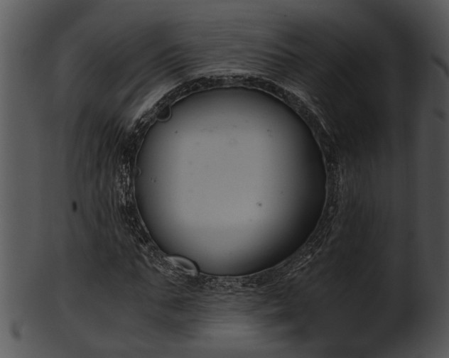 X0000101410871200807141129