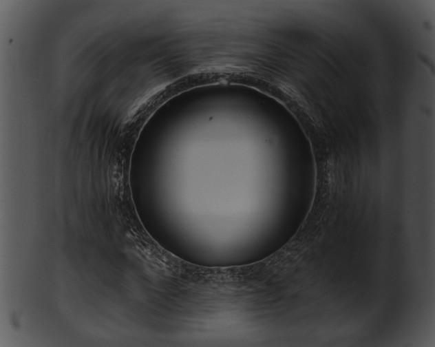 X0000101410872200807141129