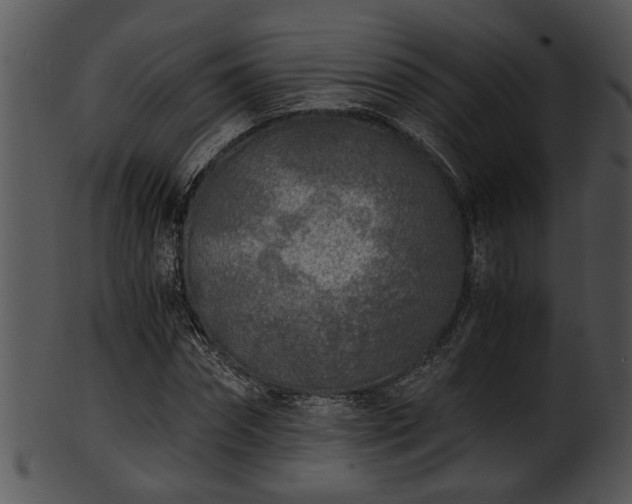 X0000101410874200807141129