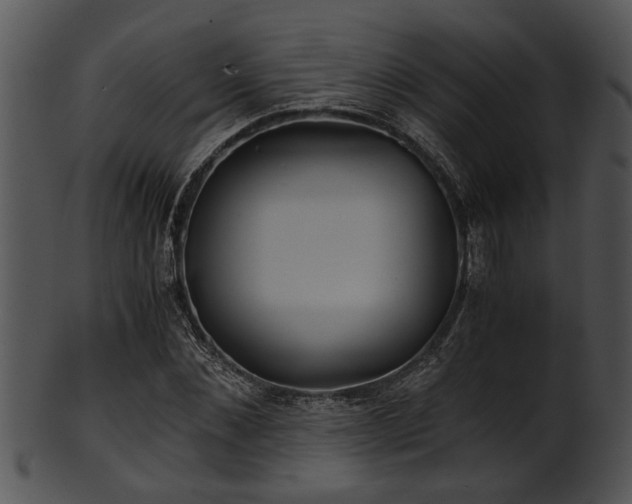 X0000101410876200807141129