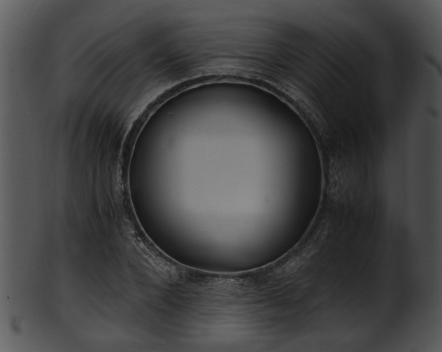 X0000101410880200807141129