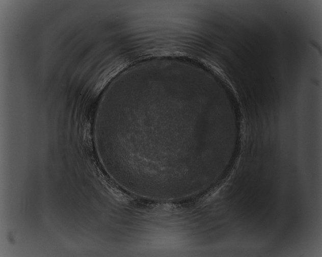 X0000101410881200807141129