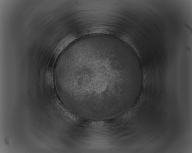 X0000101410882200807141129