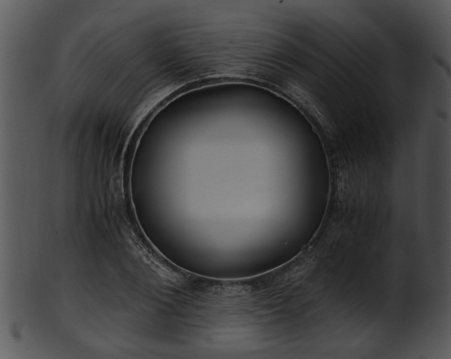 X0000101410884200807141129