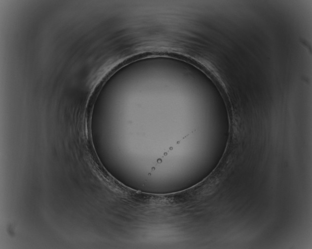 X0000101410887200807141129