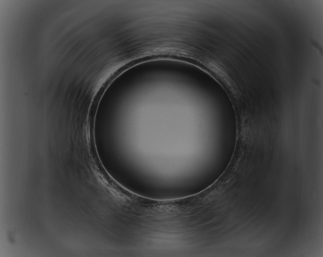 X0000101410888200807141129