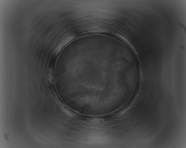 X0000101410889200807141129