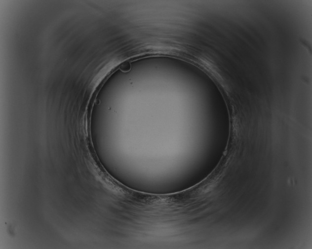 X0000101410891200807141129