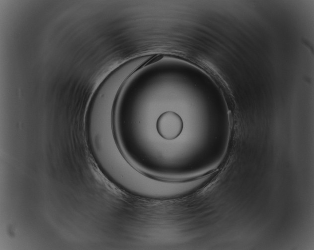 X0000101410892200807141129