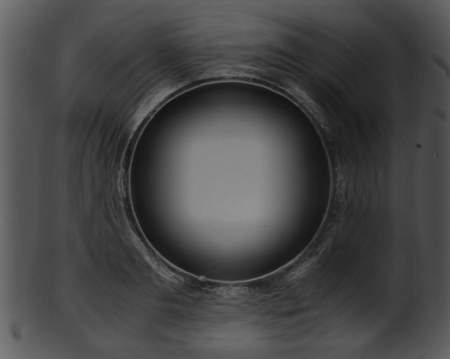 X0000101410893200807141129