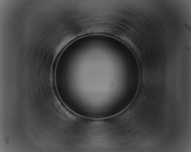 X0000101410894200807141129