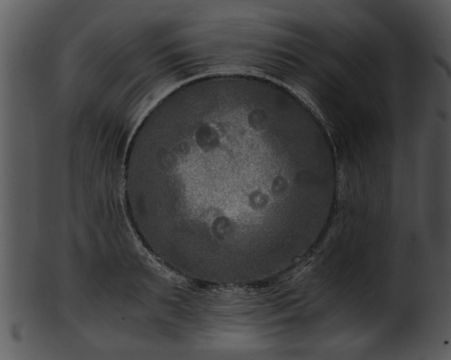 X0000101410895200807141129