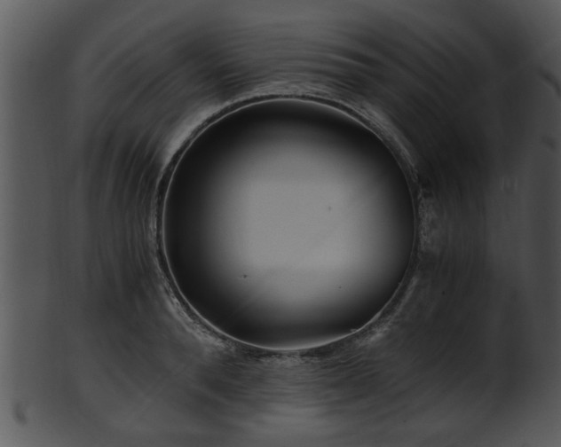 X0000101410896200807141129
