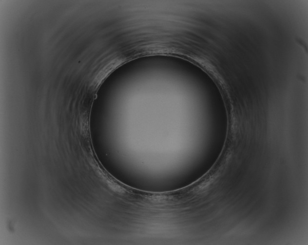 X0000101410897200807141129