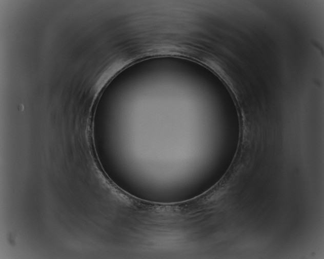 X0000101410901200807141128