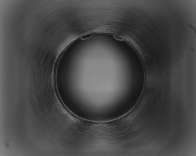 X0000101410902200807141128