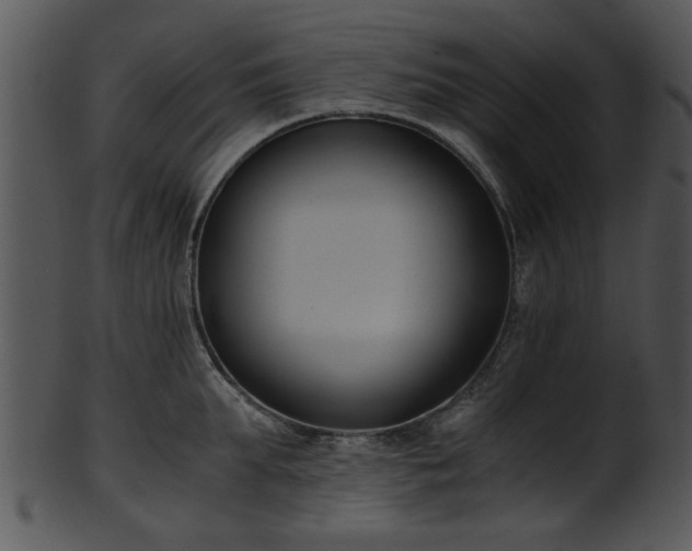 X0000101410903200807141128