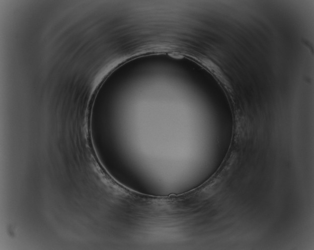 X0000101410904200807141128