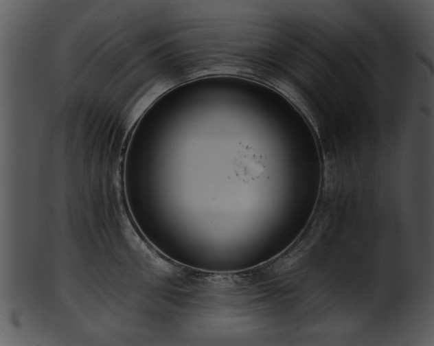 X0000101410906200807141128