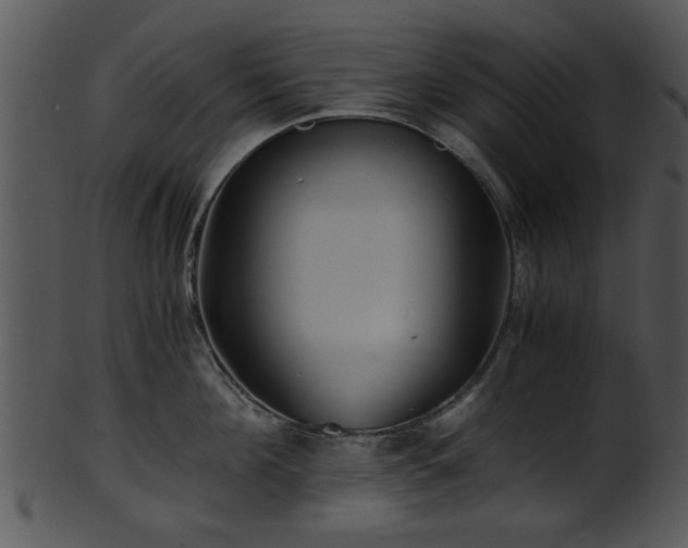 X0000101410908200807141128