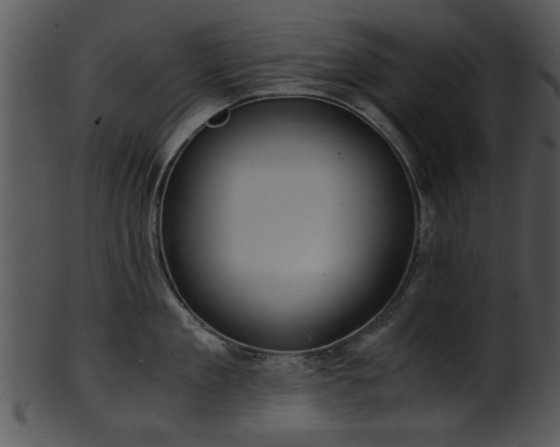X0000101410909200807141128