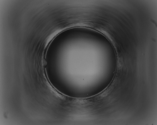 X0000101410910200807141128