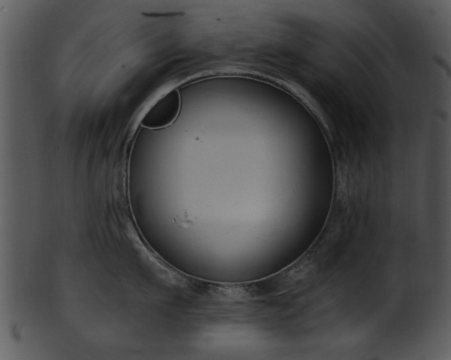 X0000101410911200807141128