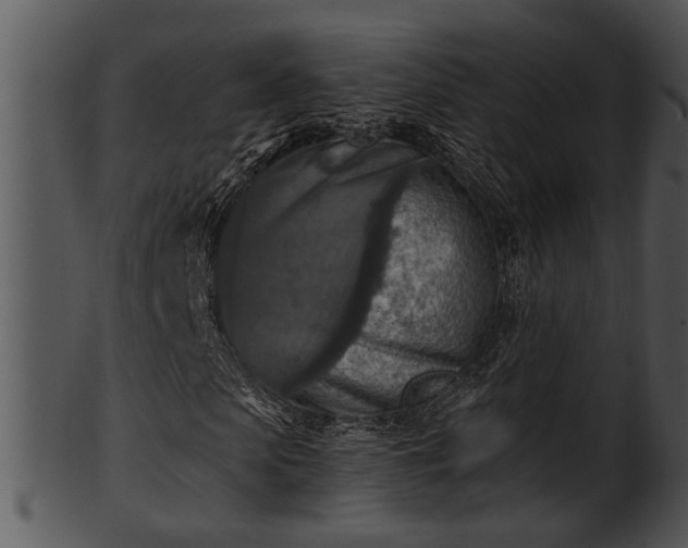 X0000101410913200807141128