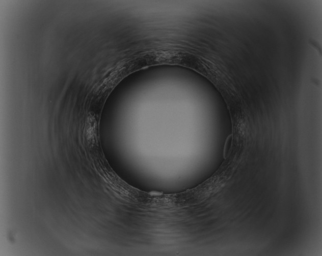 X0000101410914200807141128