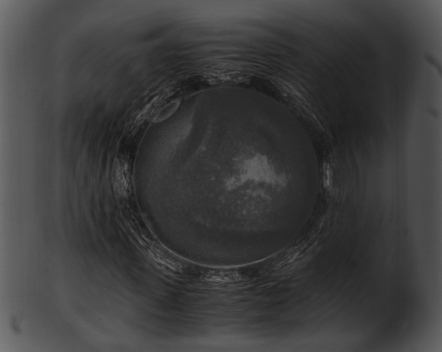 X0000101410915200807141128