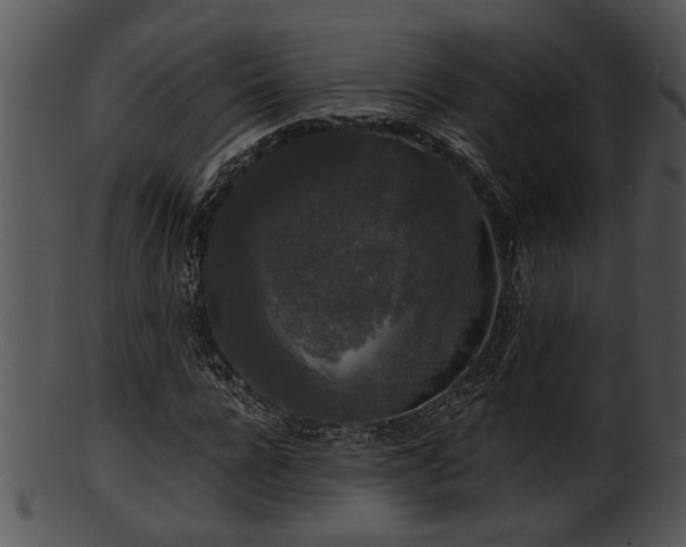 X0000101410920200807141128