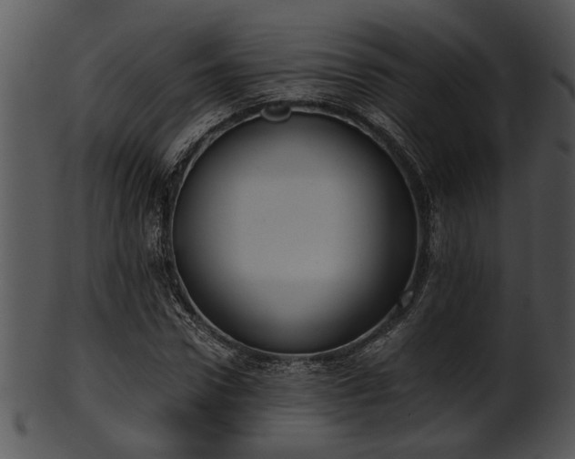 X0000101410922200807141128
