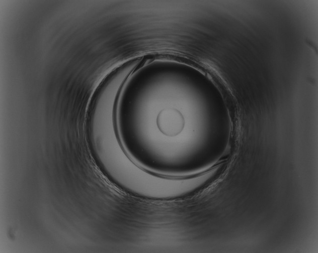 X0000101410924200807141128
