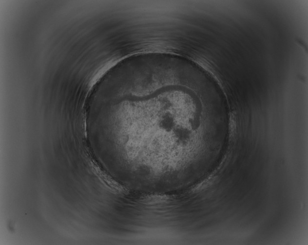 X0000101410925200807141128