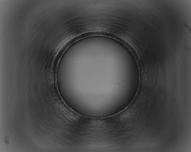X0000101410927200807141128