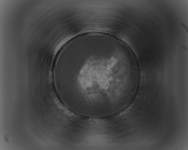 X0000101410928200807141128