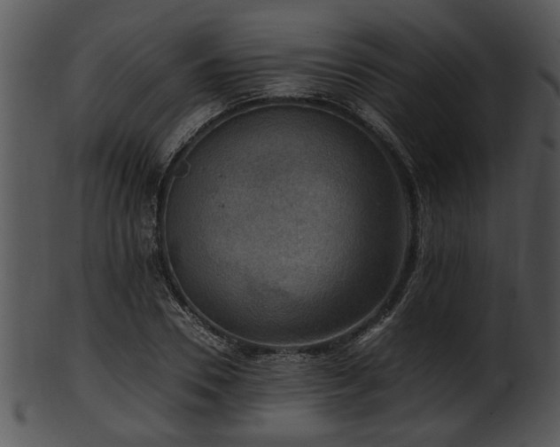 X0000101410930200807141128