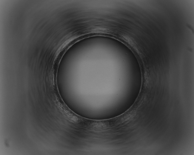 X0000101410931200807141128