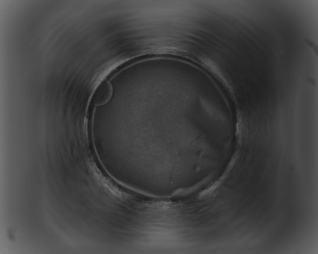 X0000101410932200807141128