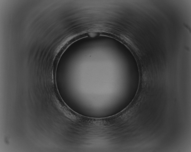X0000101410934200807141128