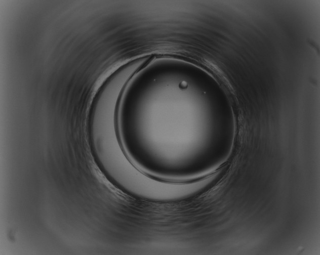 X0000101410939200807141128