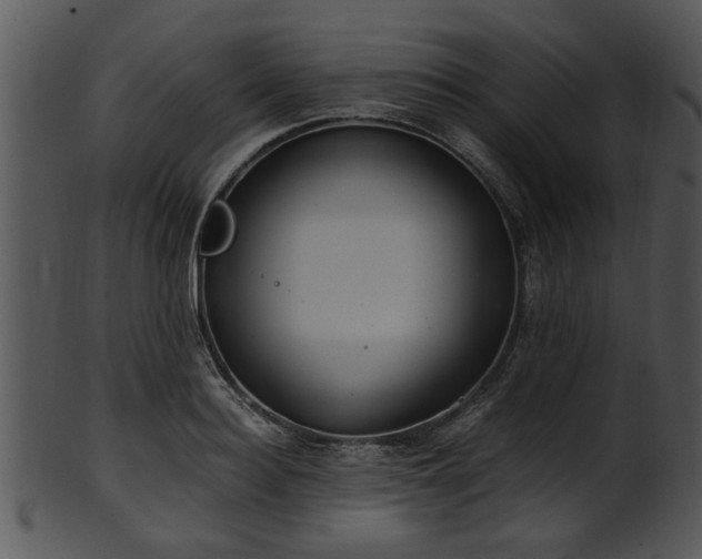 X0000101410940200807141128