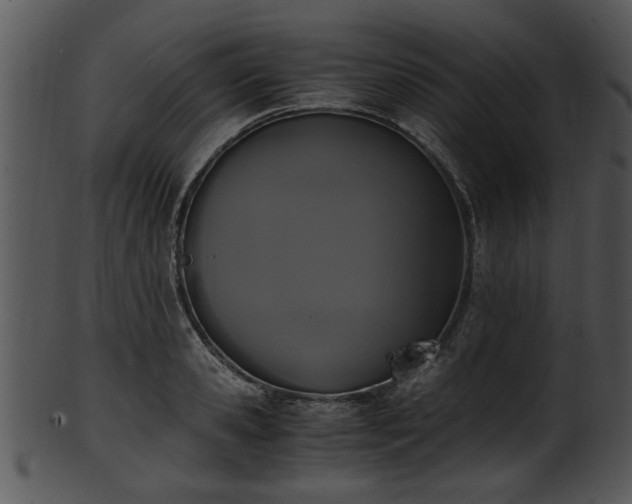X0000101410941200807141128