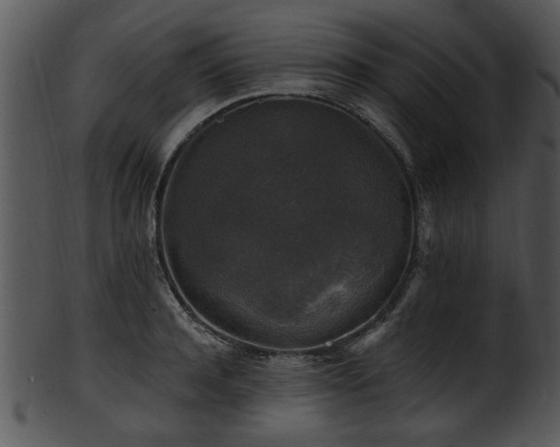 X0000101410944200807141128