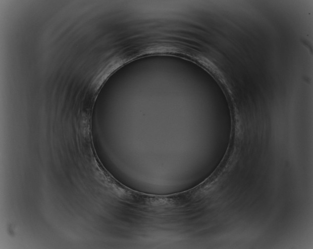 X0000101410945200807141128